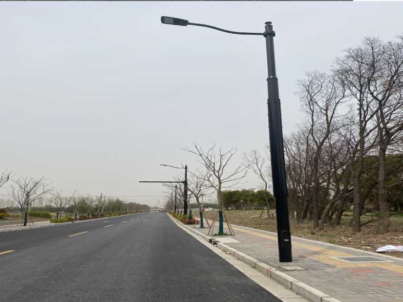 南丹县上海综合杆 太阳能路灯工程